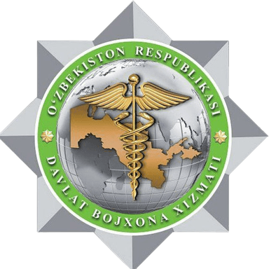 customs service logo